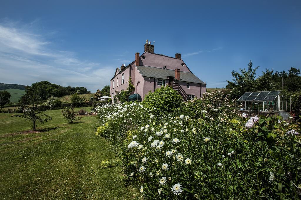 Wood Advent Farm Washford Exterior foto